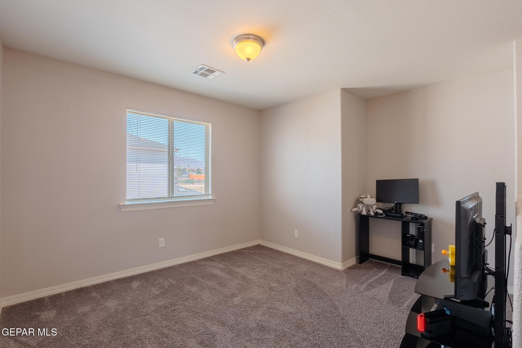 305 Del Palmar - Photo 50