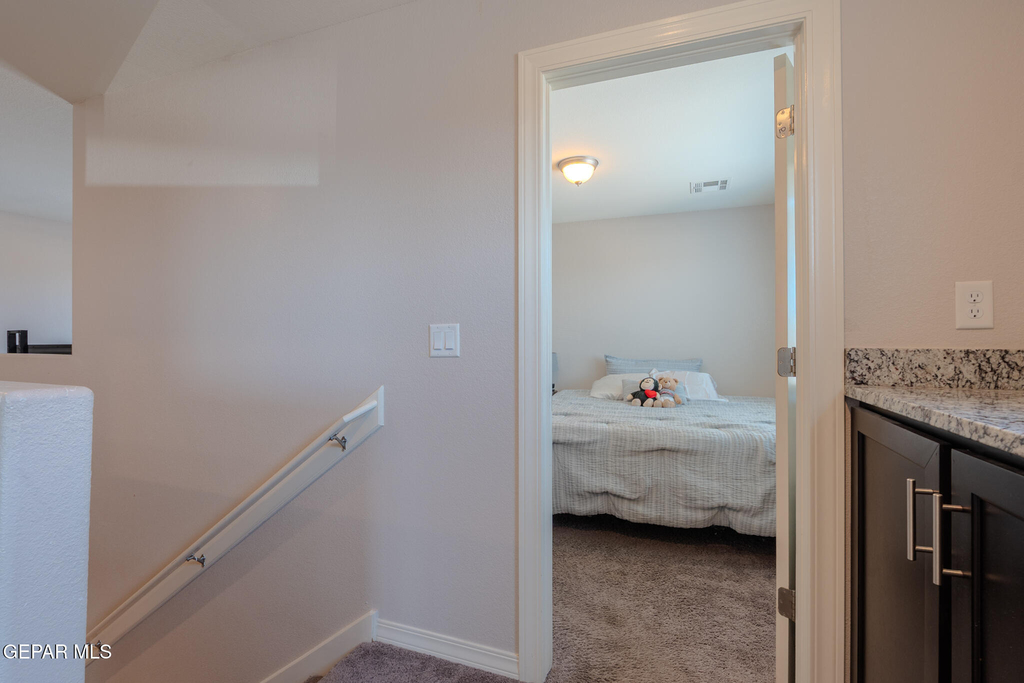 305 Del Palmar - Photo 30