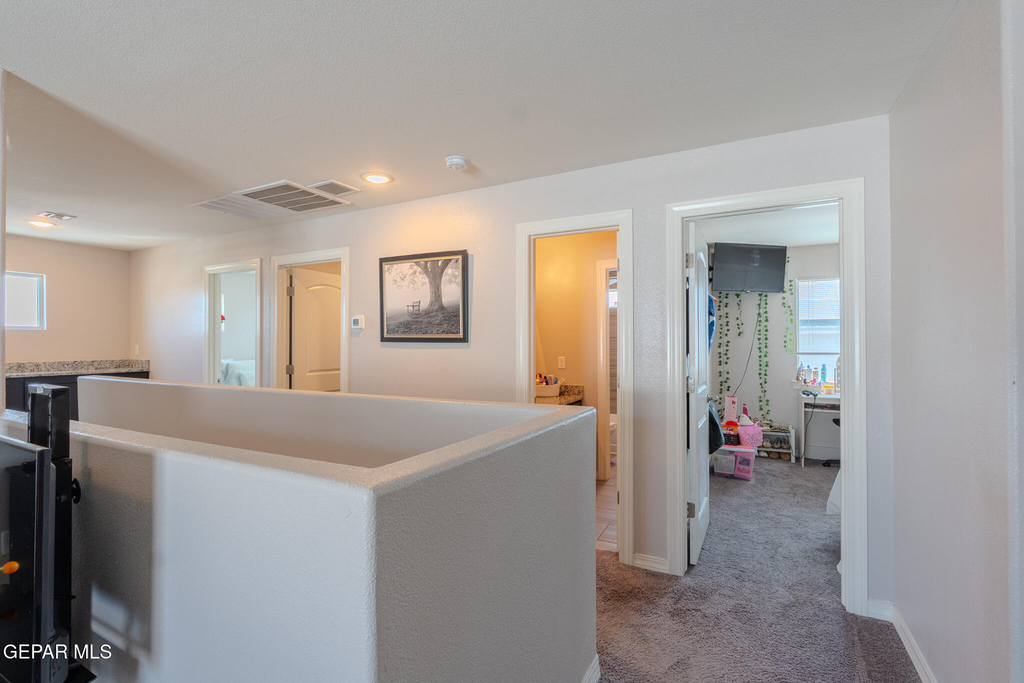 305 Del Palmar - Photo 51