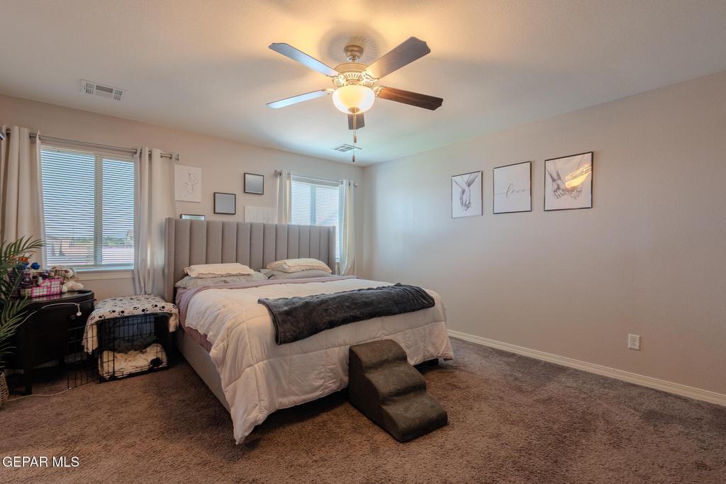 305 Del Palmar - Photo 43