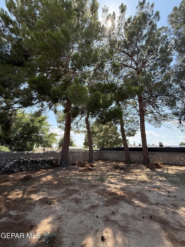 1709 Bruce Devlin Drive - Photo 44