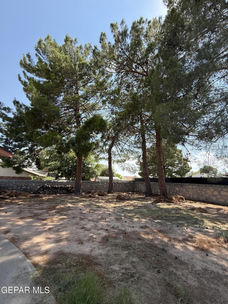 1709 Bruce Devlin Drive - Photo 45