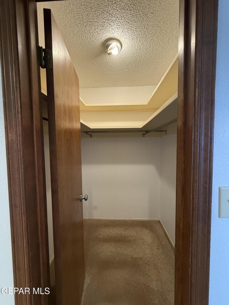 1709 Bruce Devlin Drive - Photo 39
