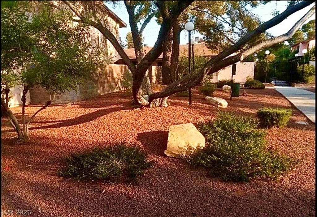 4338 Caliente Street - Photo 18