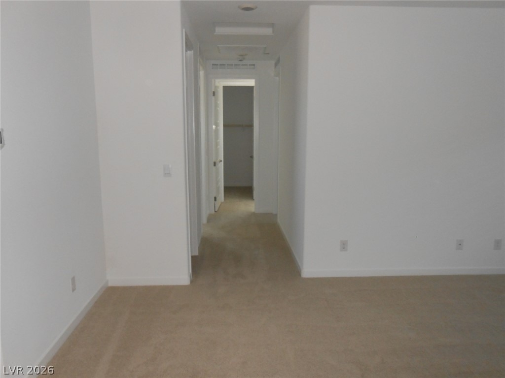1025 Copper Robin Street - Photo 16
