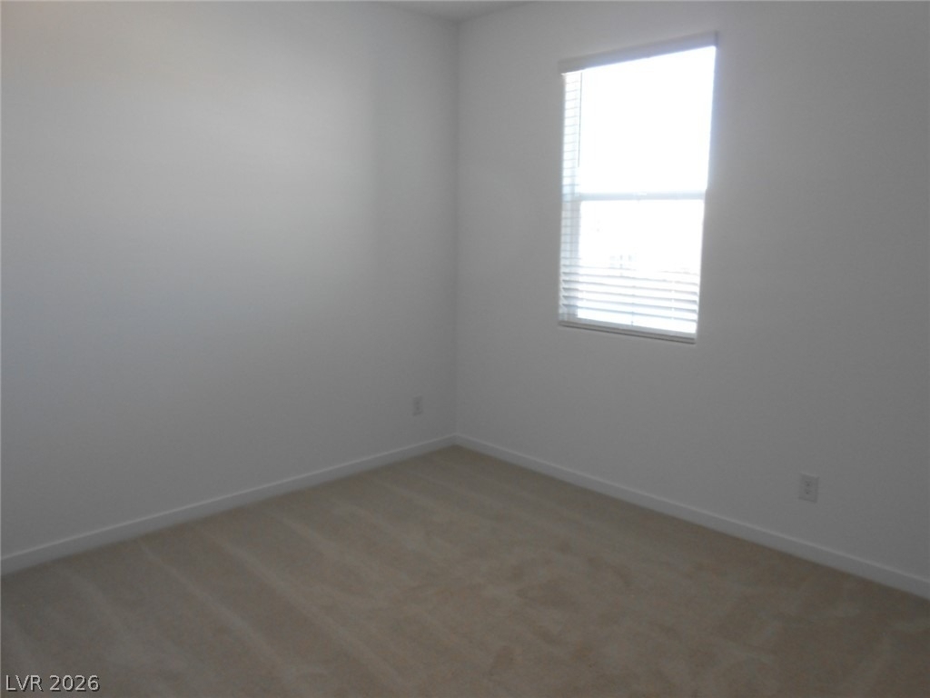 1025 Copper Robin Street - Photo 19
