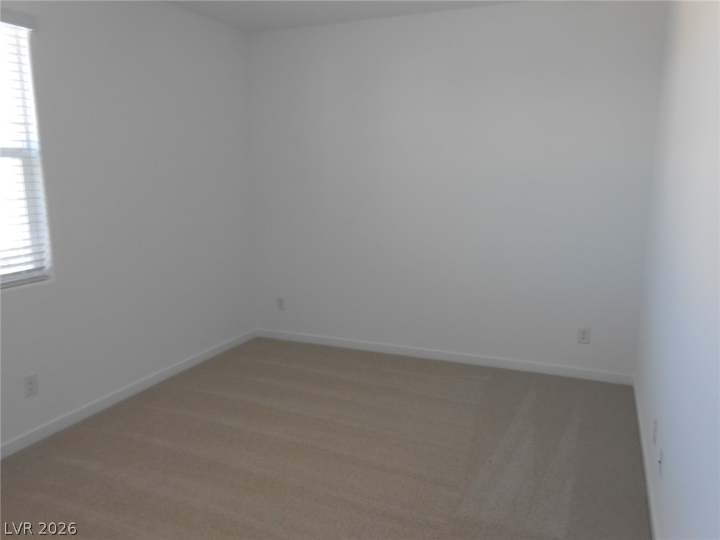 1025 Copper Robin Street - Photo 23