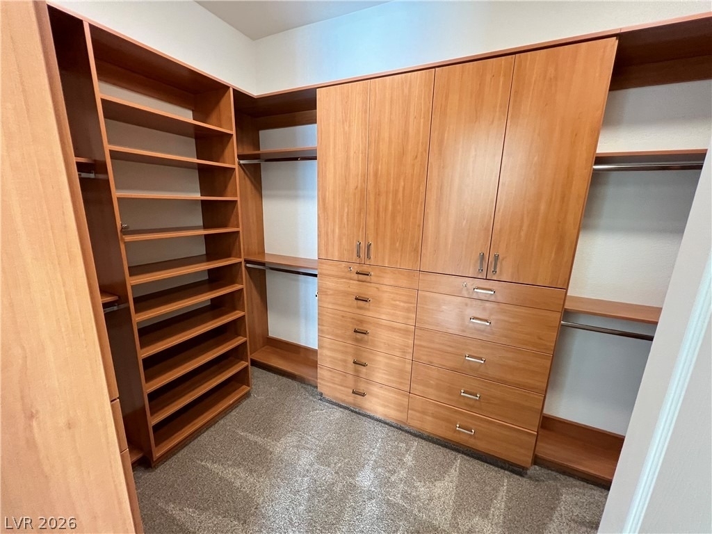10895 Iris Canyon Lane - Photo 16