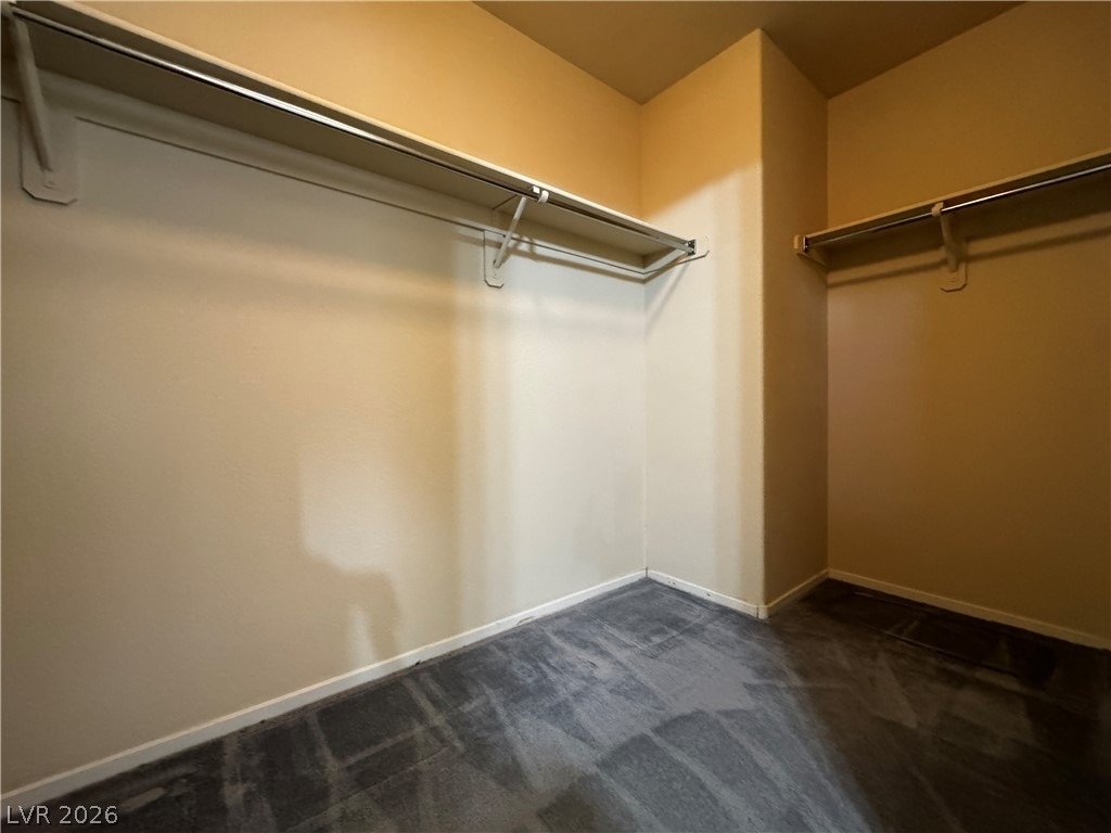 1404 Laughing Larkspur Avenue - Photo 53
