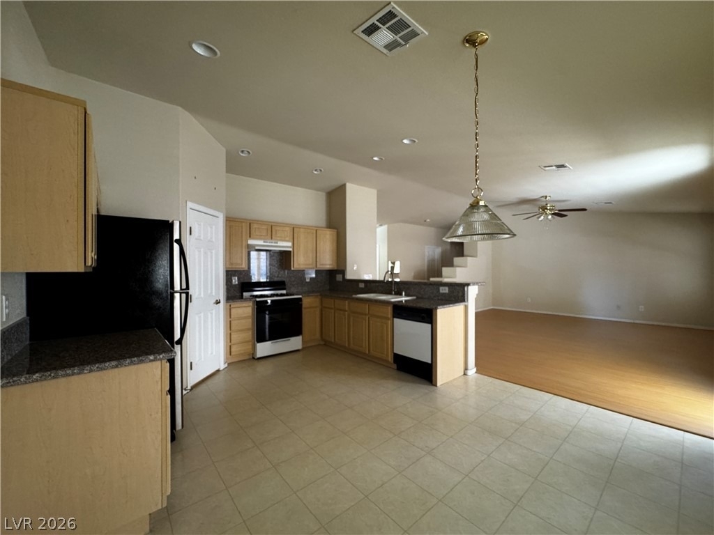 1404 Laughing Larkspur Avenue - Photo 9