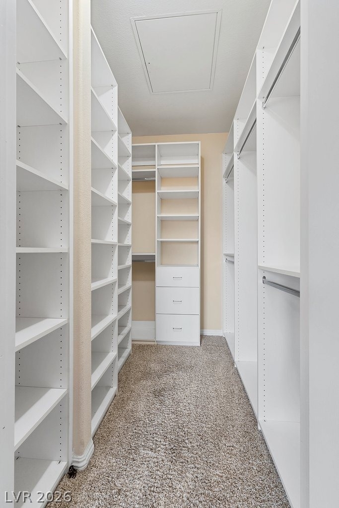 10001 Peace Way - Photo 16
