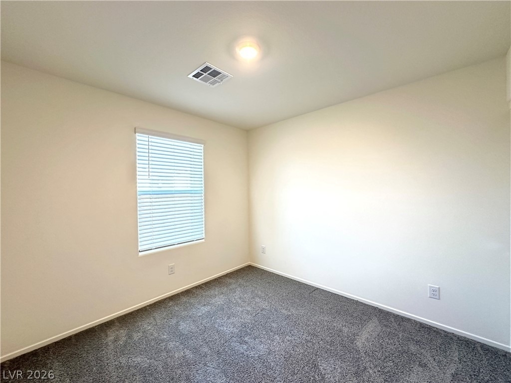 9350 Soothing Sea Street - Photo 13
