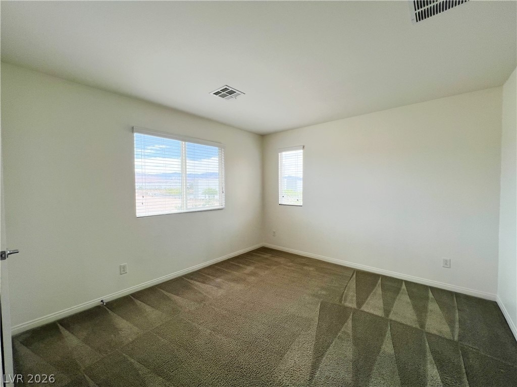 6423 Pochman Mesa Street - Photo 62