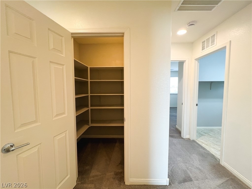 6423 Pochman Mesa Street - Photo 72