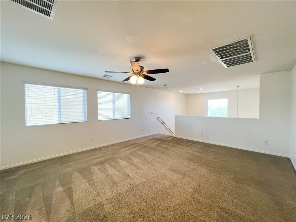 6423 Pochman Mesa Street - Photo 50