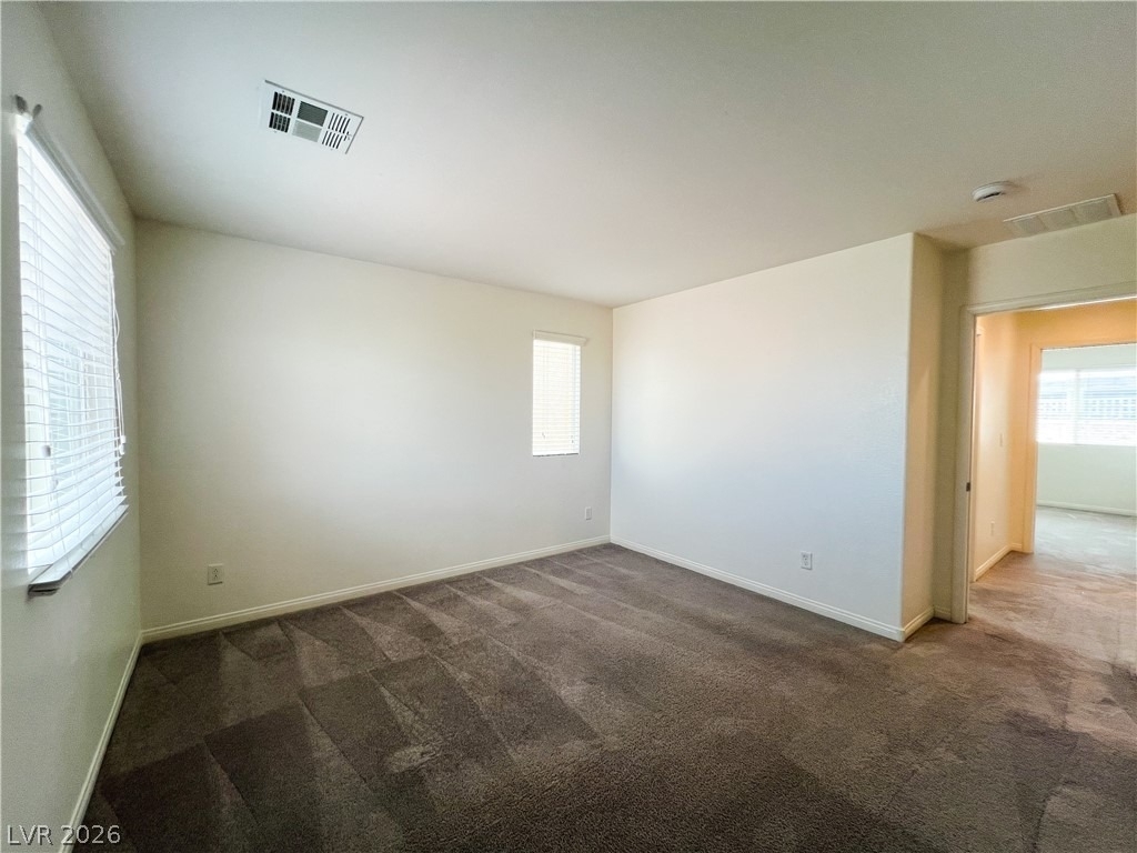 6423 Pochman Mesa Street - Photo 53