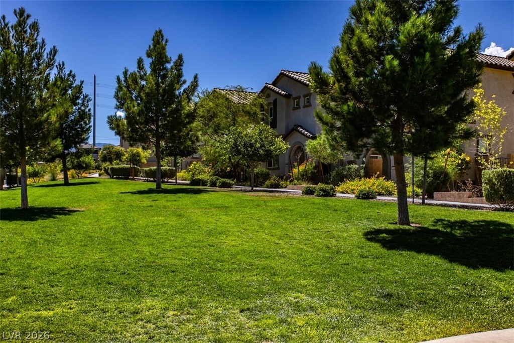 10589 Sariah Skye Avenue - Photo 43
