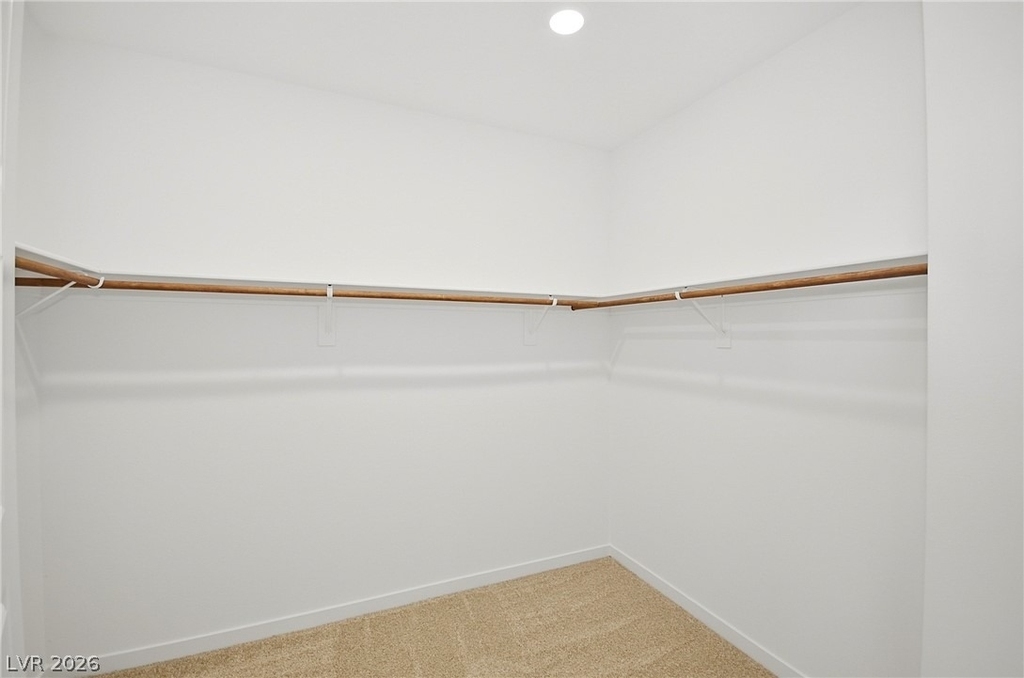 254 Walsh Peak Avenue - Photo 20
