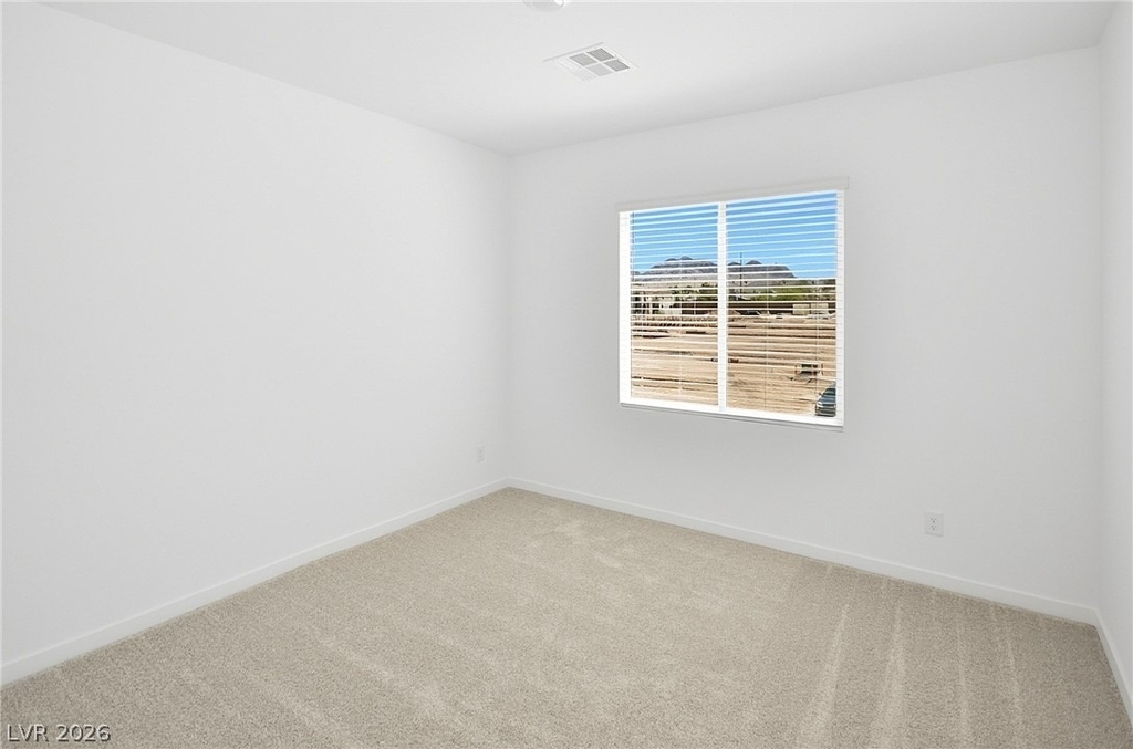 254 Walsh Peak Avenue - Photo 30