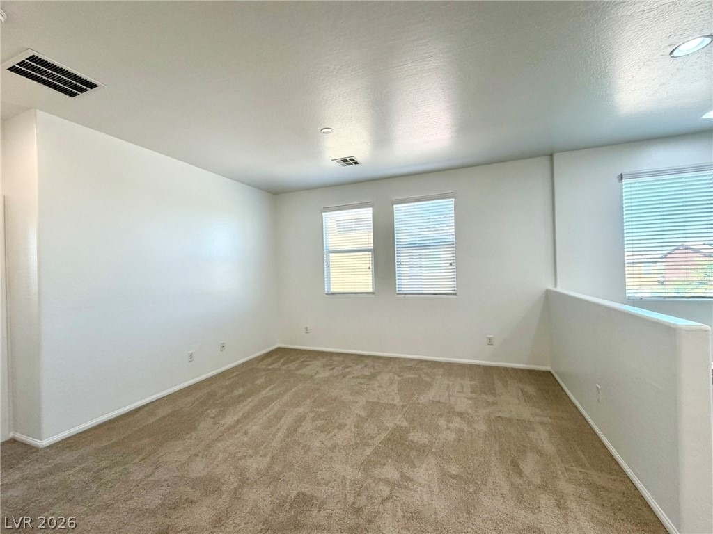 6979 Painted Vista Court - Photo 21