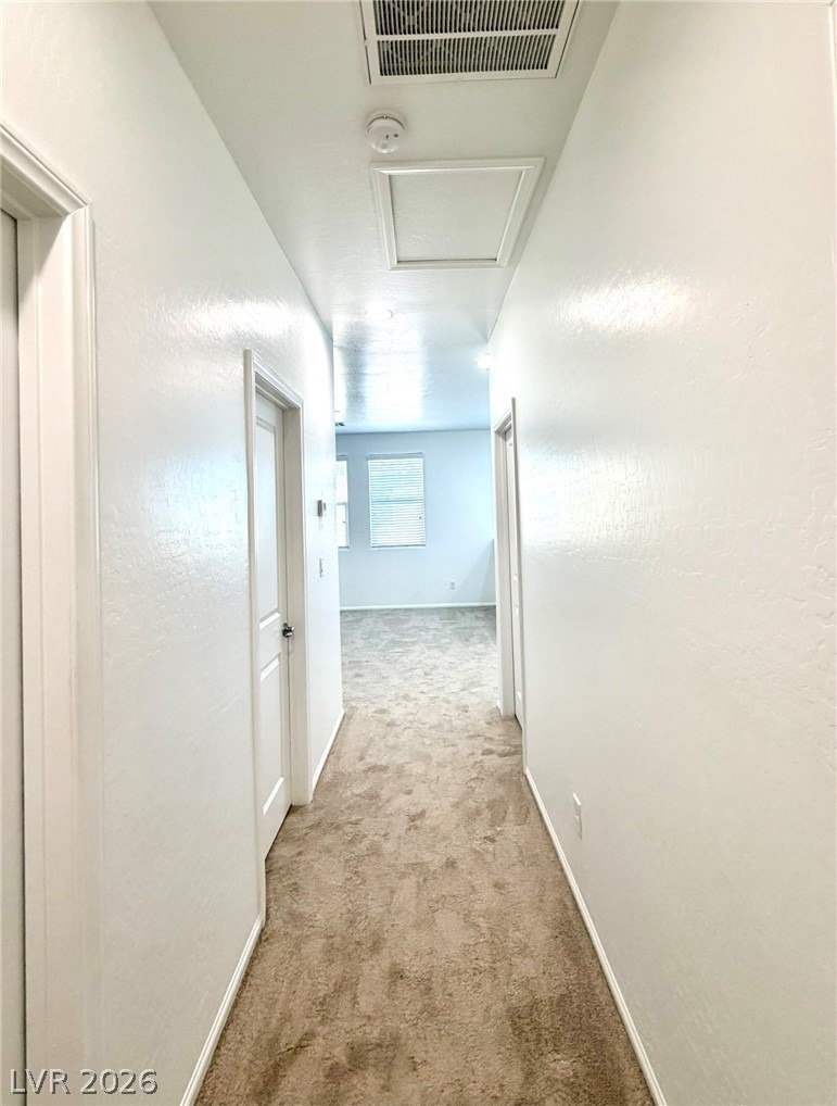 6979 Painted Vista Court - Photo 49