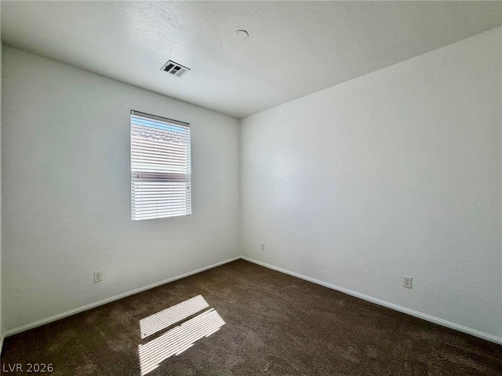 6979 Painted Vista Court - Photo 44