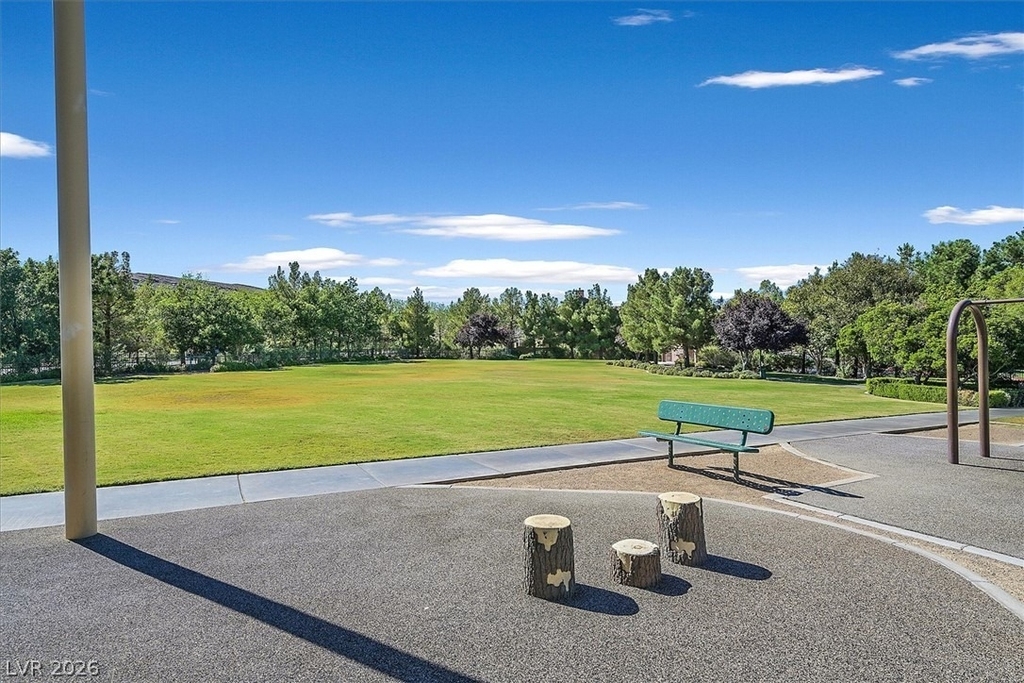 10971 Carberry Hill Street - Photo 29