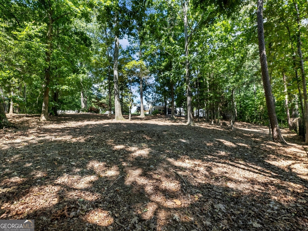 3965 Hamilton View Way - Photo 76
