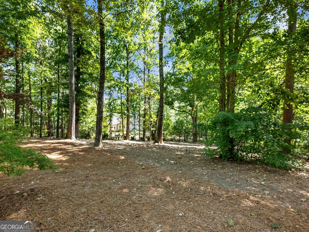 3965 Hamilton View Way - Photo 75