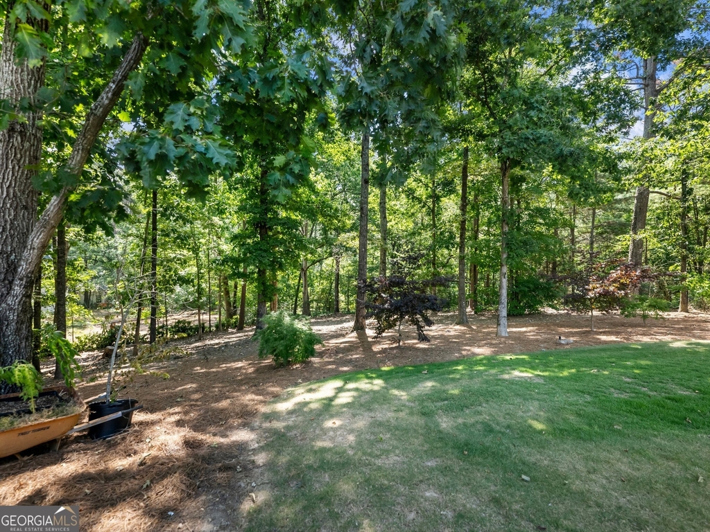 3965 Hamilton View Way - Photo 77
