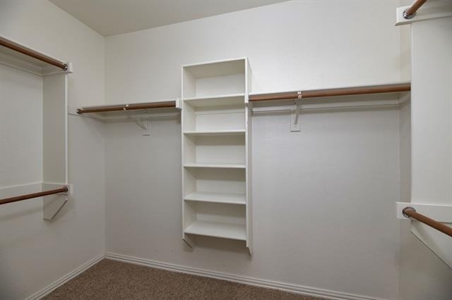 404 Tarpan Trail - Photo 17