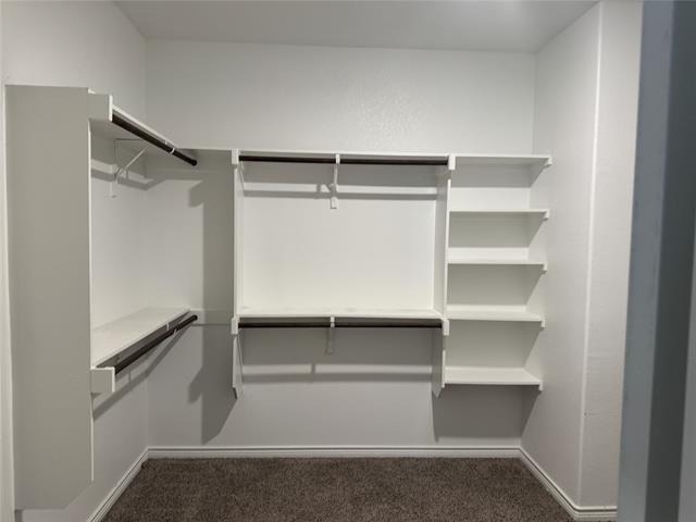 2918 Jasper Trail - Photo 19