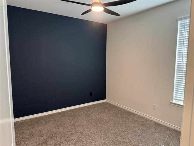 2918 Jasper Trail - Photo 14