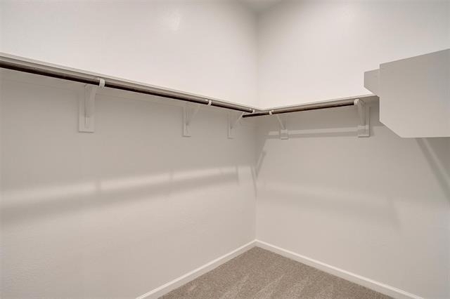 10418 Palmera Street - Photo 7