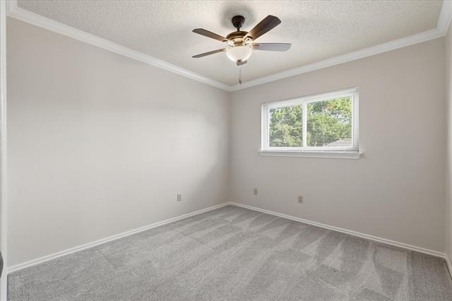 318 Lodge Road - Photo 28