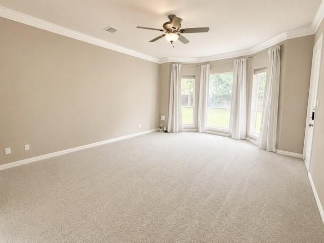 5001 Albany Drive - Photo 6