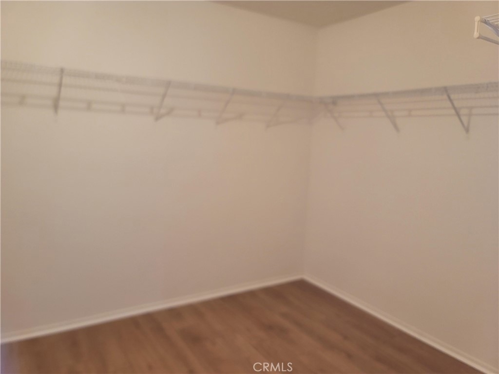 29153 Hydrangea St - Photo 18
