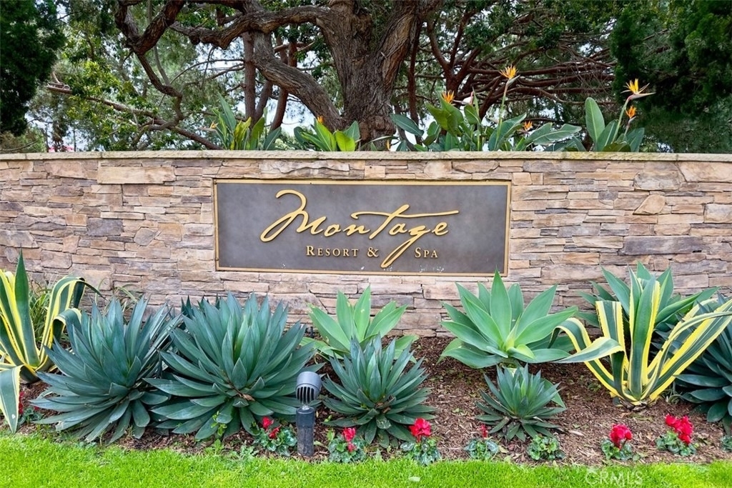 28851 Shady Place - Photo 42