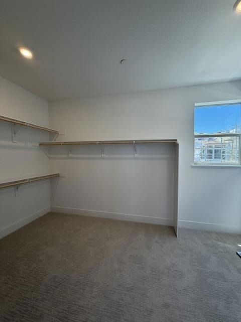 3846 Aviano Way - Photo 10