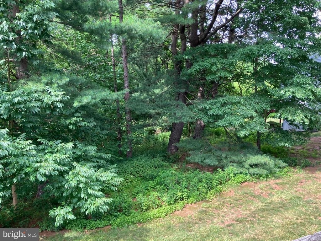 7 Parkview Circle - Photo 20