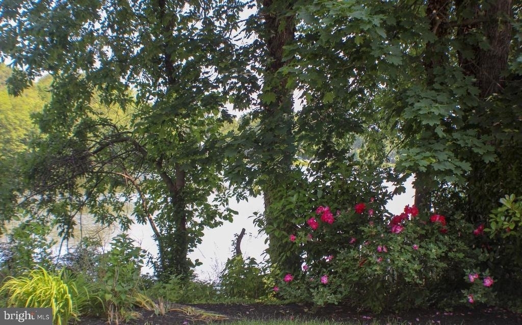 7 Kendall Boulevard - Photo 8