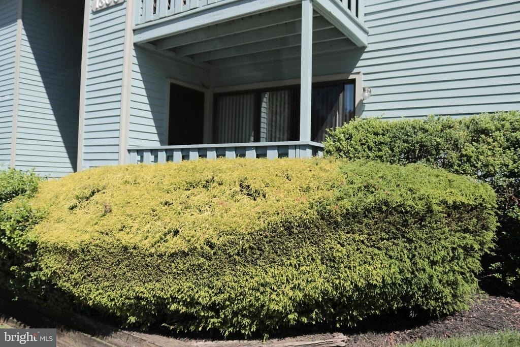 1301 Woodhollow Drive - Photo 2