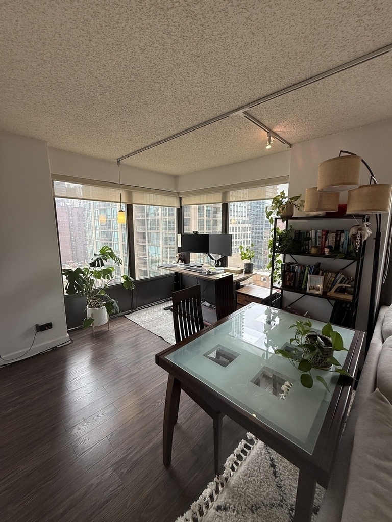 30 E Huron Street - Photo 3