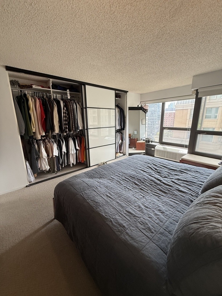 30 E Huron Street - Photo 12