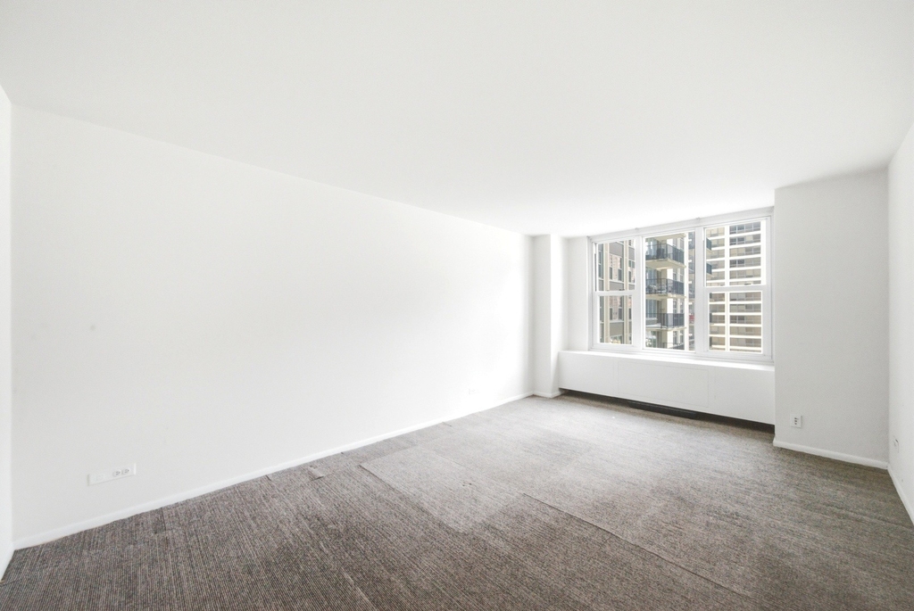 400 E Randolph Street - Photo 10