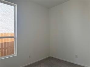 26227 Forest Brush Lane - Photo 21