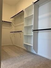 26227 Forest Brush Lane - Photo 16