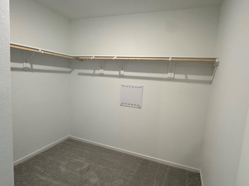 31508 Pianella Lane - Photo 5