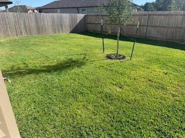203 Comal Drive - Photo 5