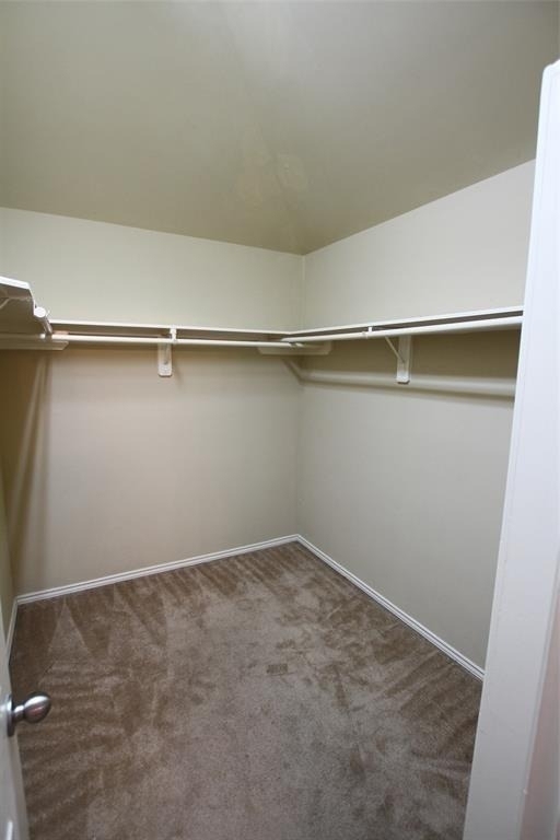 4510 Long Creek Drive - Photo 9